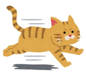 野良猫 糞尿 被害 防止