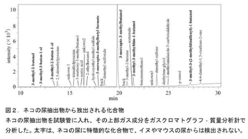 野良猫 糞尿 被害 防止