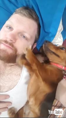 犬 なでなで 催促