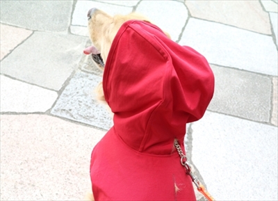 犬用レインコート