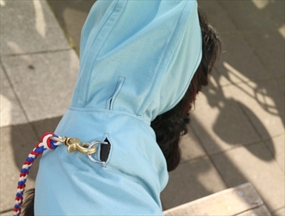 犬用レインコート