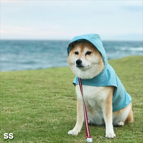 犬用レインコート