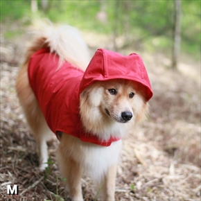 犬用レインコート