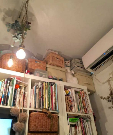 猫 ハマる ポーズ 謎 本棚