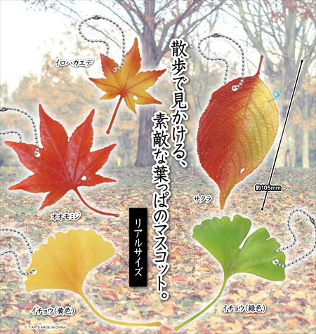 散歩で見かける素敵な葉っぱのマスコット