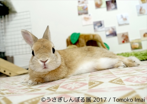 うさぎしんぼる展