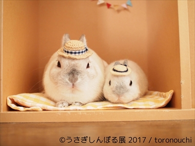 うさぎしんぼる展