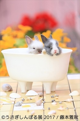 うさぎしんぼる展