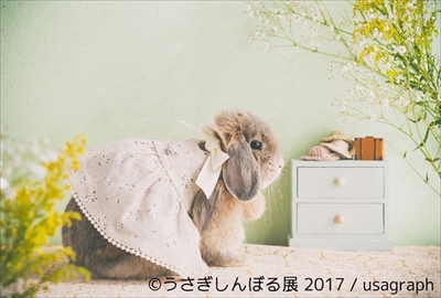 うさぎしんぼる展