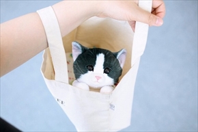 フェリシモ子猫ポーチ