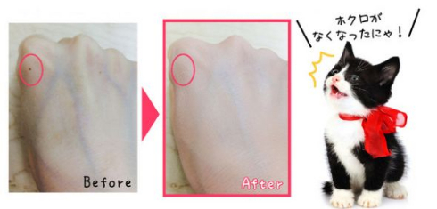 necosme ネコスメ ぷにぷに猫の手ファンデ