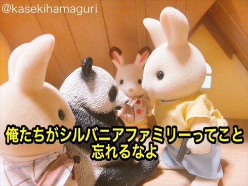 シルバニアファミリー アウトレイジ