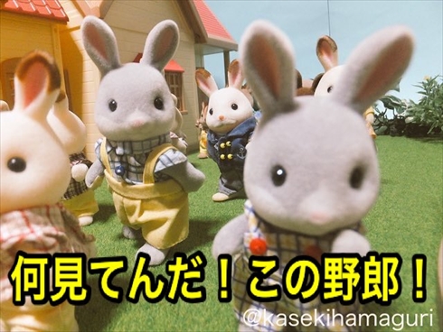 シルバニアファミリー アウトレイジ 