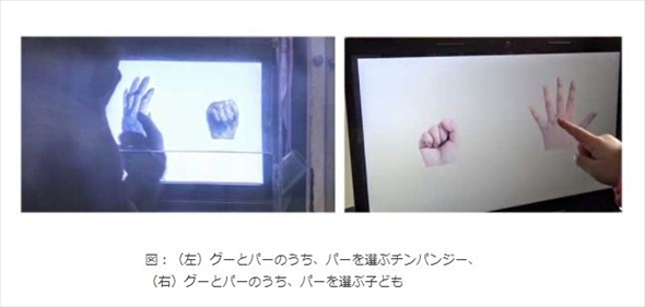 京都大学チンパンジーがじゃんけんを学習