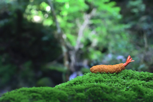 大自然でエビフライ写真