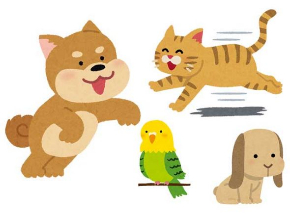 ペット 動物 害虫 火災 注意喚起