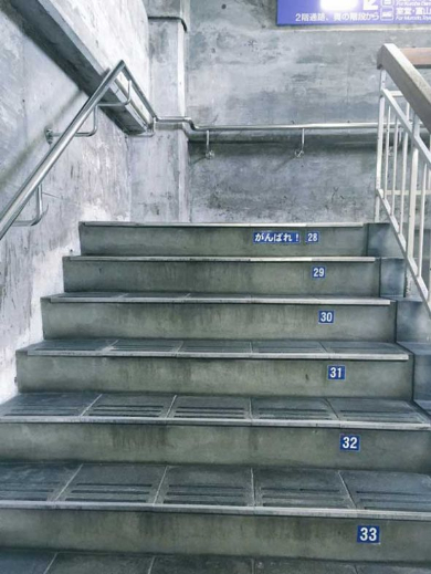 大観峰駅 展望台 階段