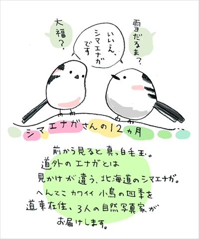 シマエナガさんの12カ月