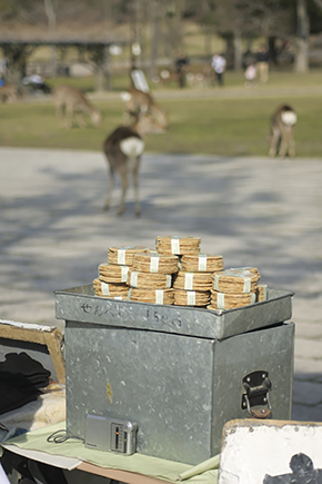 宮島 廿日市 鹿 鹿せんべい 奈良 広島 シカ