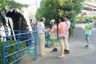 孤島の水族館からの脱出