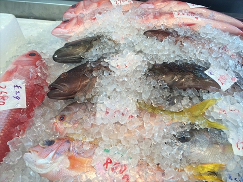 トリップアドバイザー　道の駅ランキング