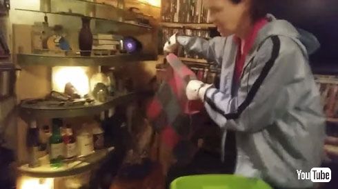 保護
