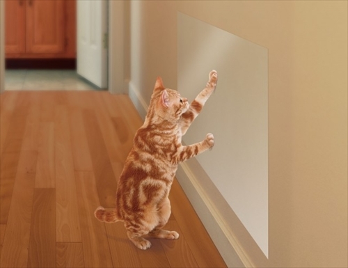 爪とぎ保護シート