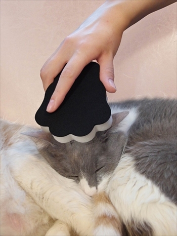 爪とぎ保護シート