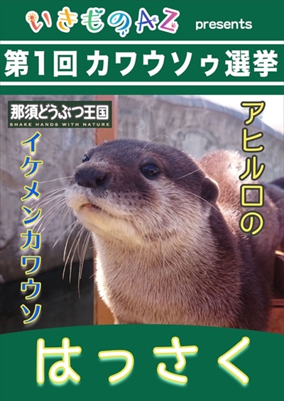 カワウソ総選挙