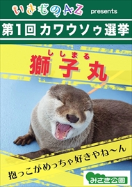 カワウソ総選挙