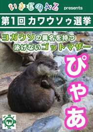 カワウソ総選挙