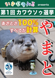 カワウソ総選挙
