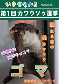 カワウソ総選挙