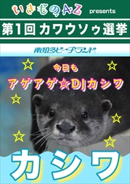 カワウソ総選挙