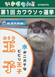 カワウソ総選挙