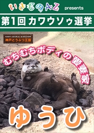 カワウソ総選挙