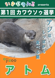 カワウソ総選挙