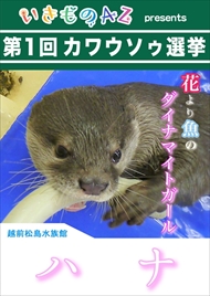 カワウソ総選挙