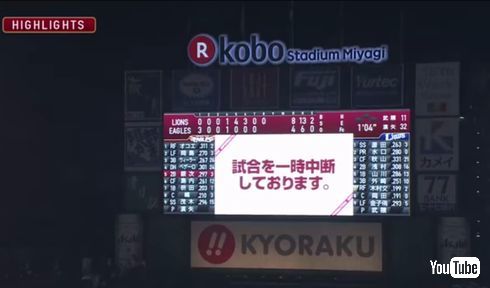 鳥　群れ　試合　中断　照明