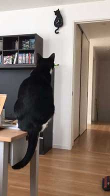 猫型 振り子時計 猫 尻尾