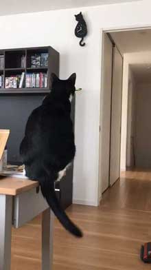 猫型 振り子時計 猫 尻尾