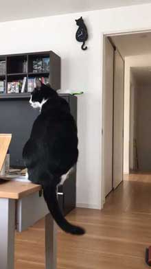 猫型 振り子時計 猫 尻尾