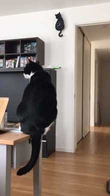 猫型 振り子時計 猫 尻尾