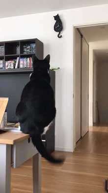猫型 振り子時計 猫 尻尾