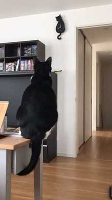 猫型 振り子時計 猫 尻尾