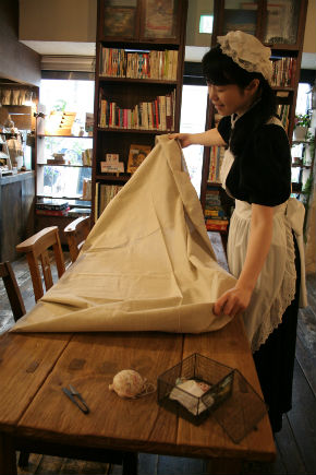 シャッツキステ