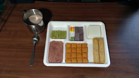 ディストピア飯 新世紀エヴァンゲリオン