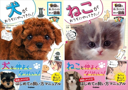 ねこがおうちにやってきた