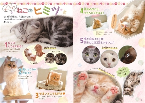 ねこがおうちにやってきた