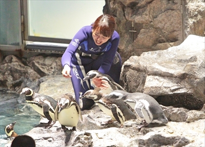 すみだ水族館　さあ、ゴハン
